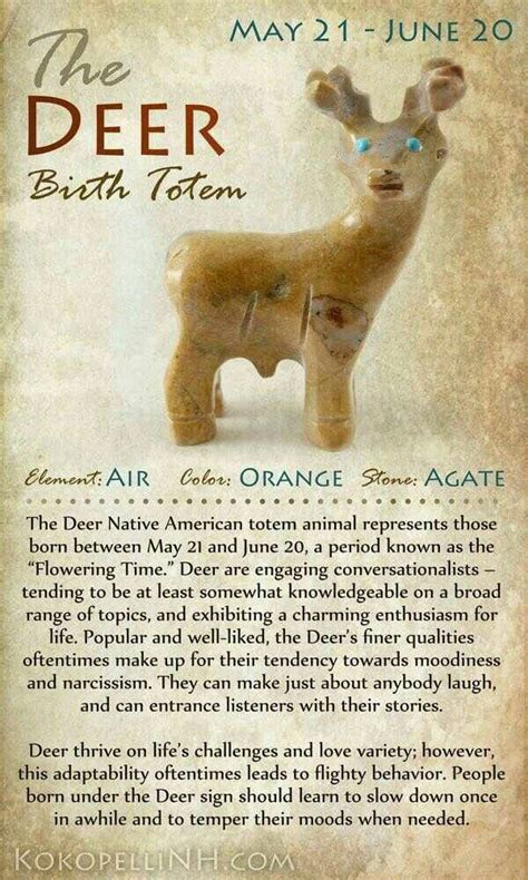 Pin by Lisa S on My spirit animal | Native american totem, Animal ...