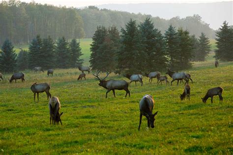 Elk County Visitors Center | #PAGetaway