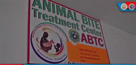 PIA - Laoag City records 1.5k animal bite, 1 rabies death case in 2023
