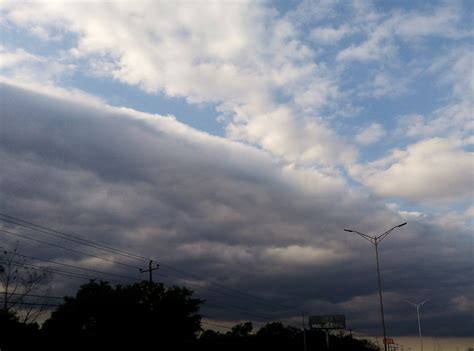 Stratocumulus clouds: overview and weather prediction