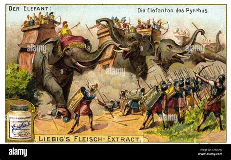 elephants of the Pyrrhus, King of Epirus, called by the Tarentins to help fighting against the ...