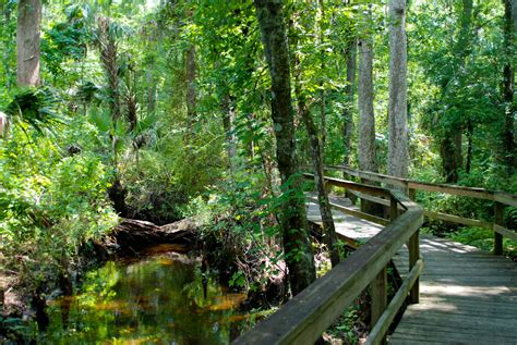 Nature Trails in Florida | Florida Hikes!