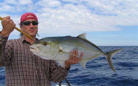 Yellow Jack - Charter fishing Key West