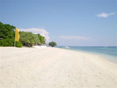 Balicasag Island Dive Resort in Bohol - Room Deals, Photos & Reviews