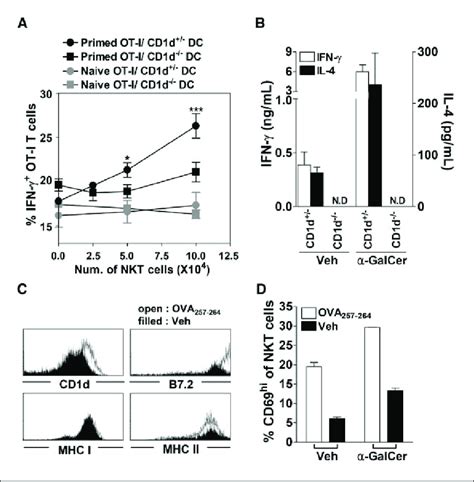 NKT cell-mediated activation of CD8 + T cells and activated DC-mediated... | Download Scientific ...