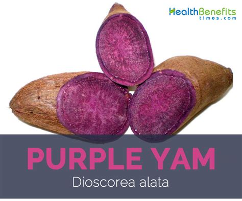 Purple Yam facts and health benefits