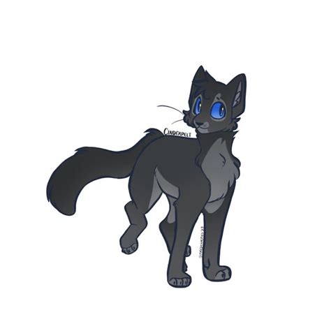 ThunderClan Medicine Cats : r/WarriorCats