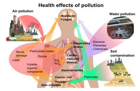 Persistant Organic Pollutants – plasticisrubbish