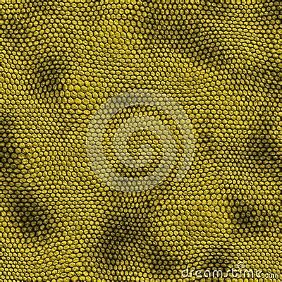 Yellow Snake Skin Stock Image - Image: 2679501