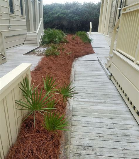 Pin by Lala A on Pine Straw Landscaping | Pine straw landscaping, Photo scrapbook, Yard