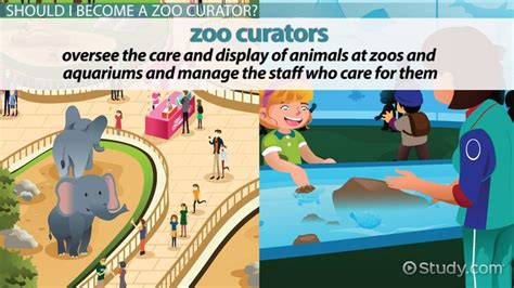 How to Become a Zoo Curator: Career Guide