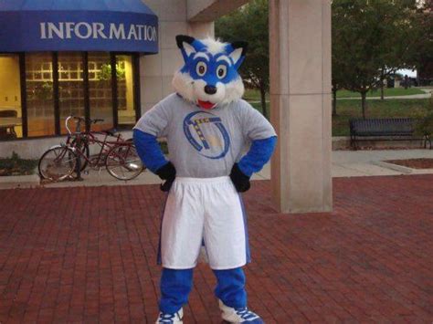 Indiana State Sycamores mascot, Sycamore Sam | Akron zips, Missouri ...