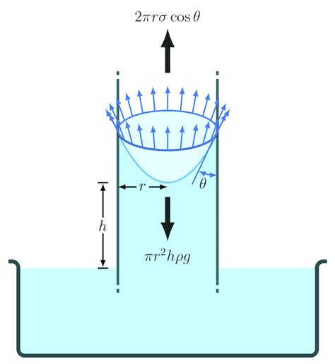 degree sum formula proof