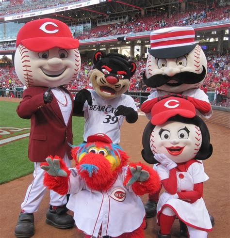 The Cincinnati Reds mascot crew got in on the Bearcat action. | Cincinnati reds baseball, Reds ...