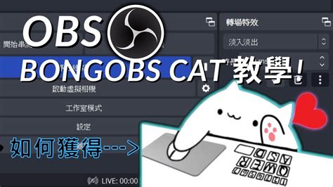 【OBS bongobs cat】Obs小貓詳細教學影片 - YouTube