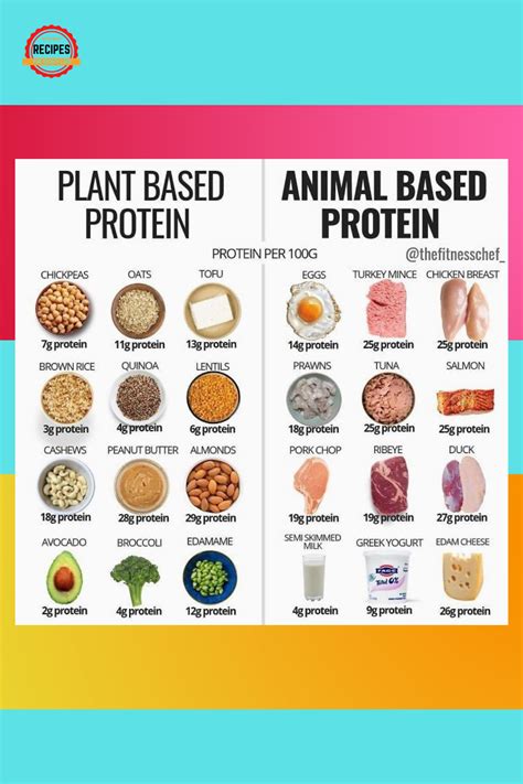 Animal vs Plant Protein - What's the Difference? | Healthy protein ...