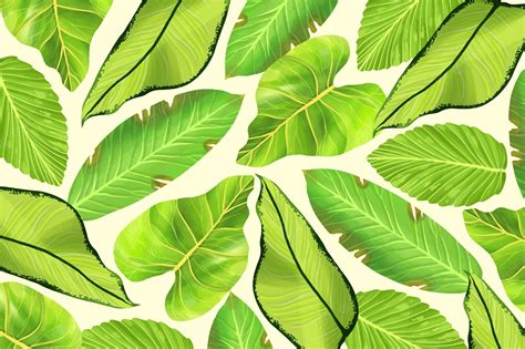 Free Vector | Tropical leaves background