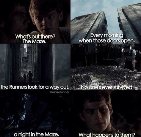 Thomas Maze Runner Quotes. QuotesGram