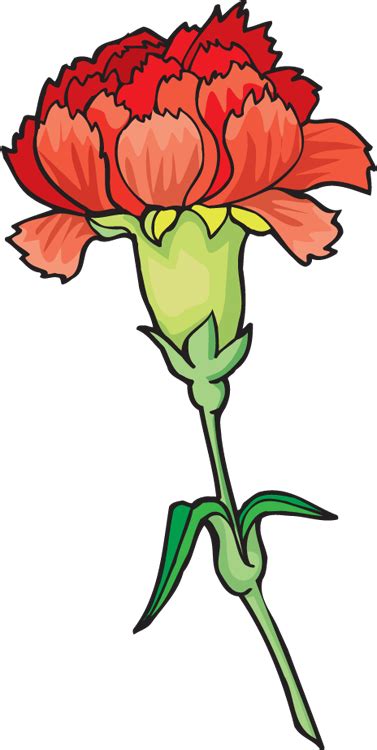 Carnation Clip Art - ClipArt Best