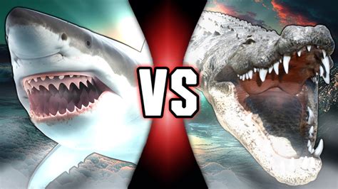 Great White Shark vs Saltwater Crocodile by westpion on DeviantArt