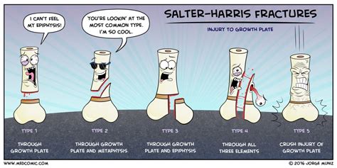 Learn about Salter-Harris fractures with a Medcomic