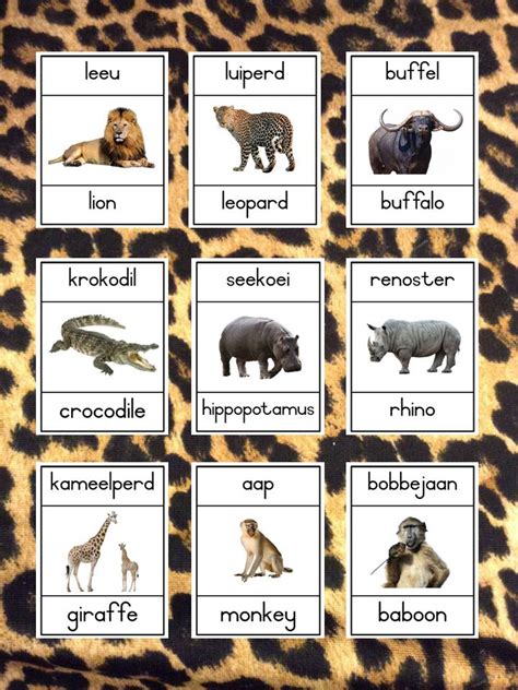 Wilde Diere / Wild Animals Afrikaans and English A4 Poster Cards • Teacha!