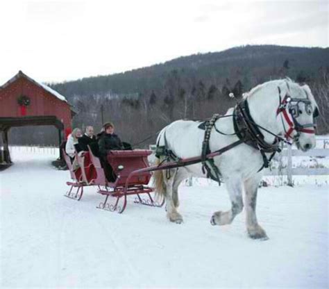 Sleigh ride | Sleigh ride, Horses, Winter scenery