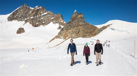 How to Visit Jungfraujoch, Top of Europe…and Is It Worth It? – Earth ...