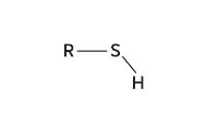 Sulfhydryl Group Model