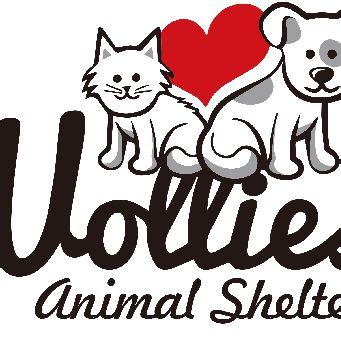 Wollies Animal Shelter