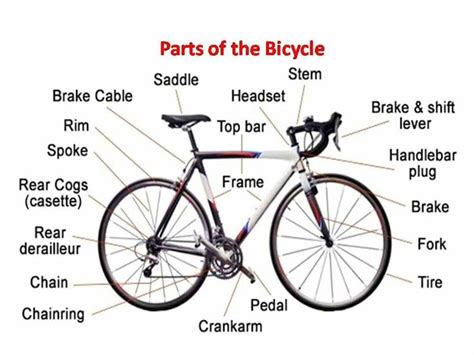 English Vocabulary: Different Parts of a Bicycle | English vocabulary, Vocabulary, Learn english ...