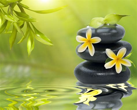 zen meditation wallpaper - Google Search | Zen pictures, Zen garden, Zen meditation