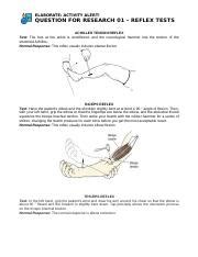 reflex test.docx - ELABORATE: ACTIVITY ALERT! QUESTION FOR RESEARCH 01 ...