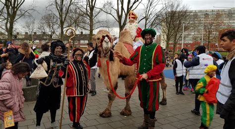 Sinterklaas parades through Amsterdam-Osdorp on camel | NL Times