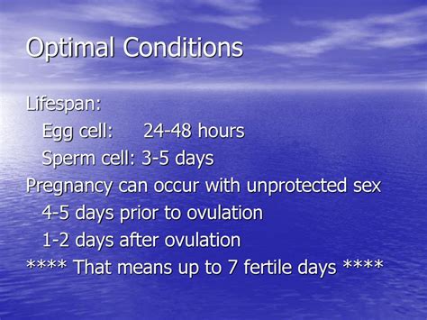 Ovulation Egg Life Span