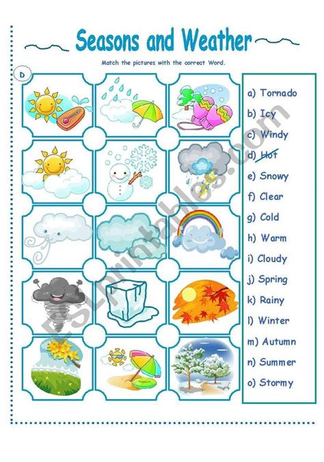 SEASONS AND WEATHER ACTIVITY worksheet Seasons Worksheets, Weather Worksheets, Weather ...