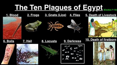 The Ten Plagues of Egypt | Exodus 7-12 | Video 5/7 - YouTube