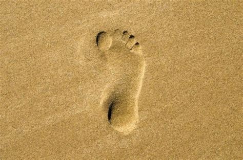 human footprint:Scientists Find Oldest Human Footprint Dating Back Over 15,000 Years In Chile