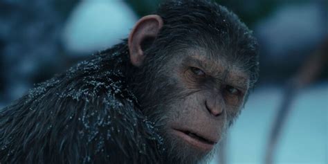 Andy Serkis's 10 Best Movies, Ranked by Rotten Tomatoes