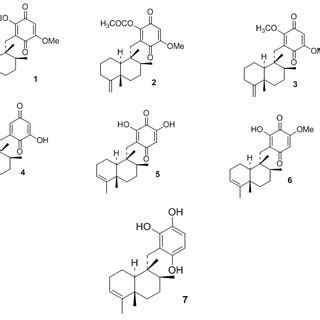 Chemical structures of HIV-1 RNase H inhibitors of the natural source... | Download Scientific ...