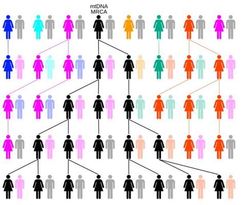 Genetic ‘Adam and Eve’: All Humans are Descendants of One Man and Woman Who Lived Over 100,000 ...