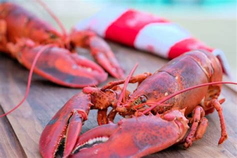 How to Steam Live Lobster: Full Steam Ahead!