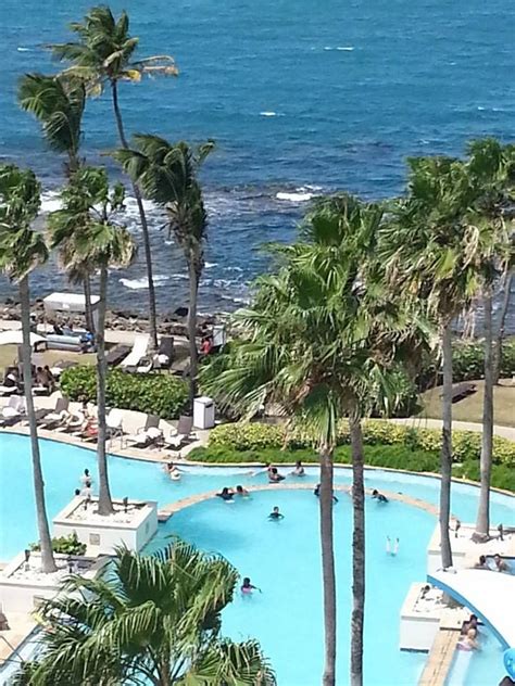 Hotel Caribe Hilton, San Juan | Puerto Rico | Puerto rico trip, Puerto rico island, Puerto rico usa