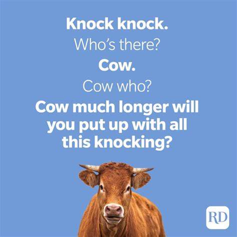 50 Cow Jokes That Are Udderly Hilarious | Reader's Digest