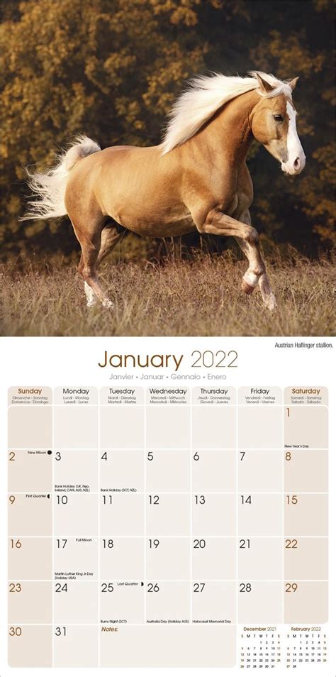 Horses Calendar | Animal Calendars | Pet Prints Inc