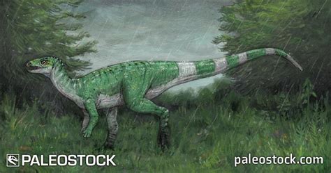 Dryosaurus stock image – Studio 252MYA