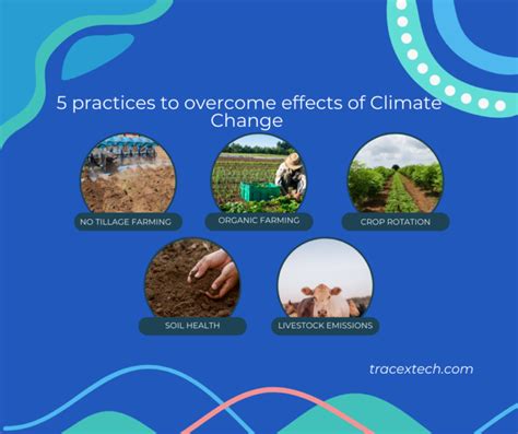 Addressing Climate Change in Agriculture | Innovations for Resilience