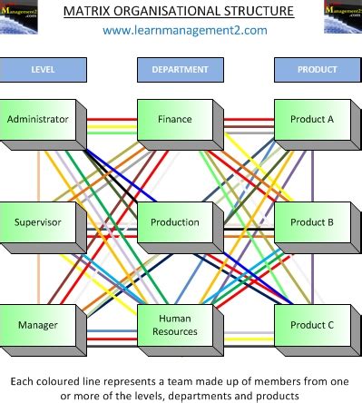 Matrix Organisational Structure