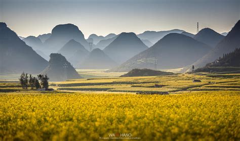 Luoping, a beautiful Canola fields in China ~ travell and culture