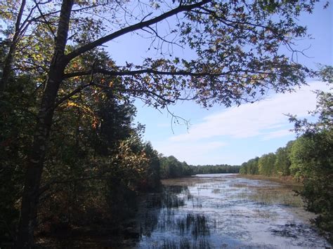 Bass River State Park, NJ | State parks, Favorite places, River